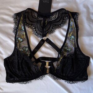 NWT Thistle and Spire Aster Bra